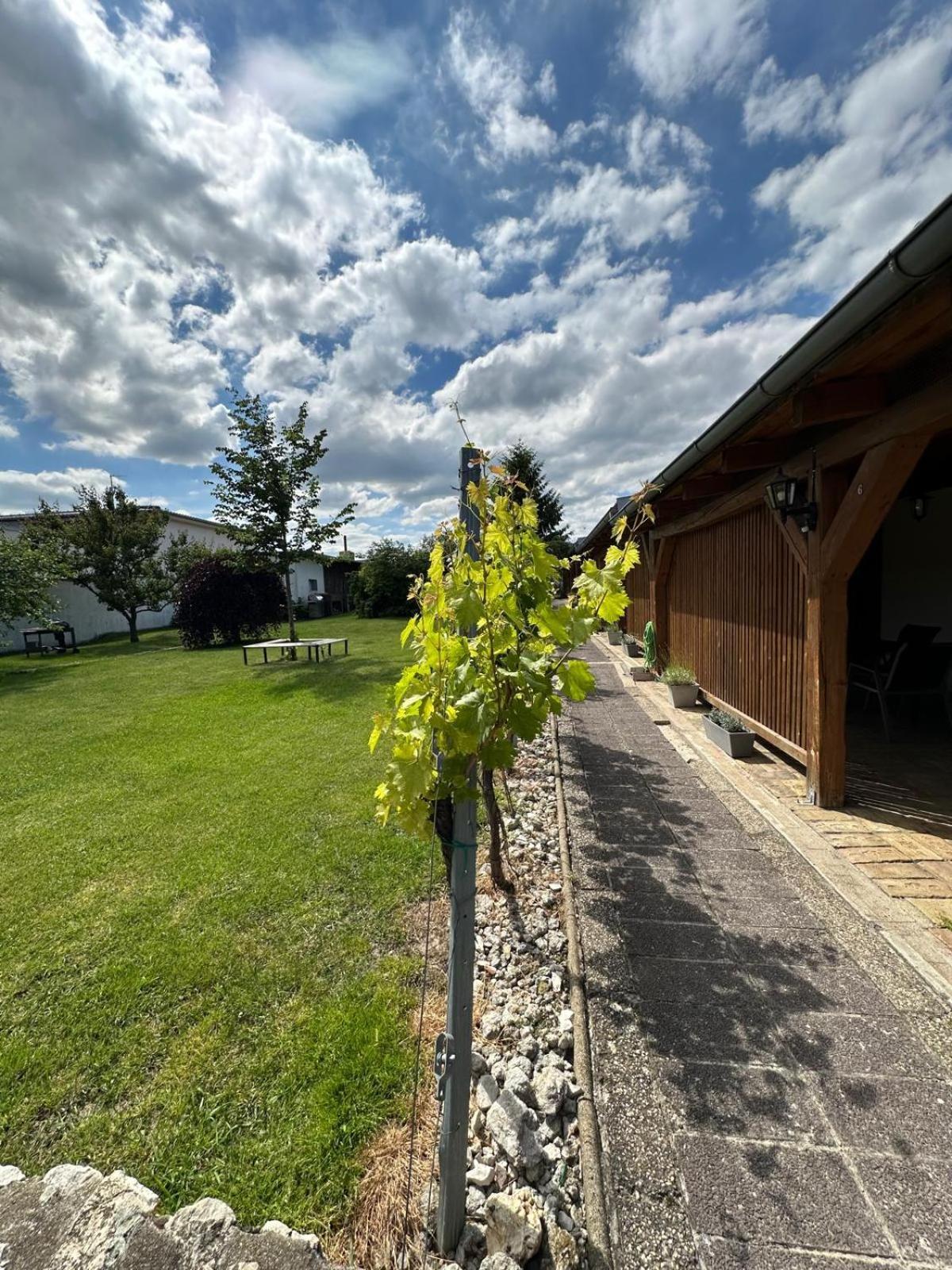 Apartman Lipa Mikulov Eksteriør billede